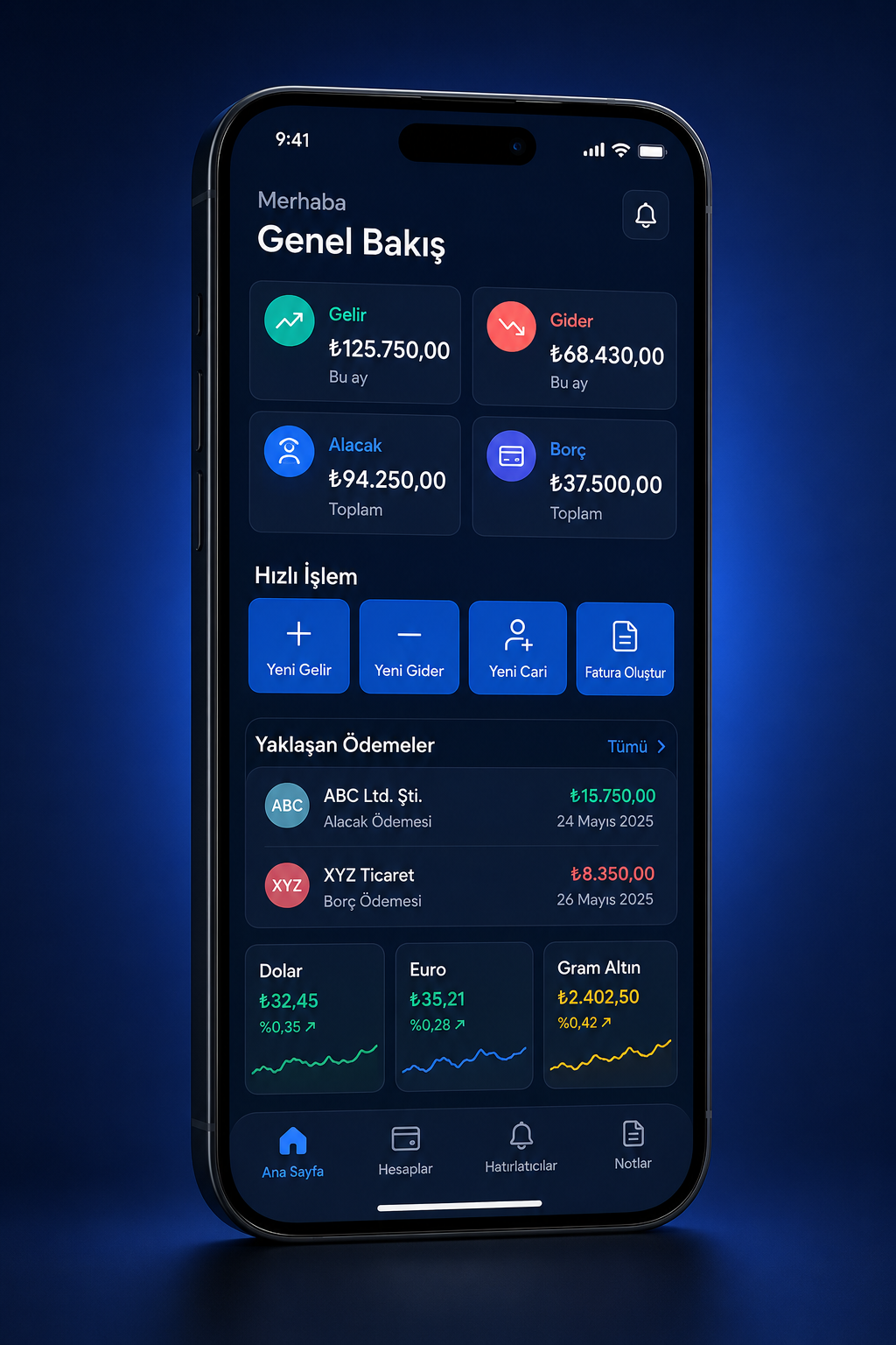 724 Cari Hesap mobil uygulama ekranı